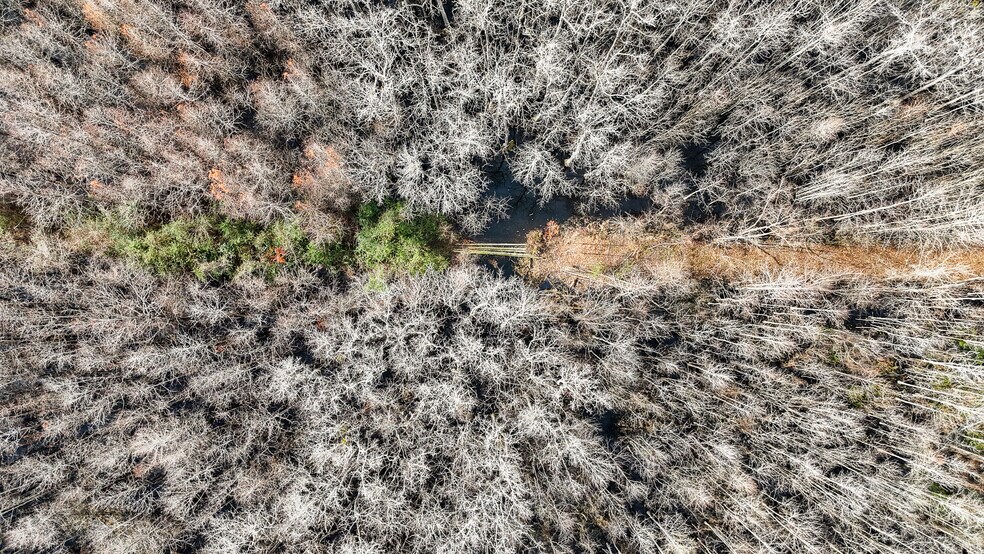 More Photos Of 409 Windward Ave, Orangeburg Land For Sale