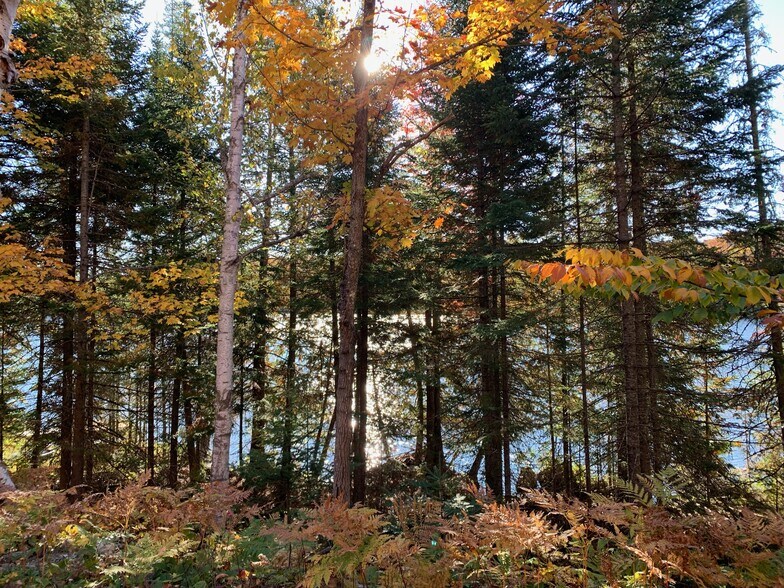 More Photos Of Ch Chemin du Lac-La Salle, Val-morin Land For Sale