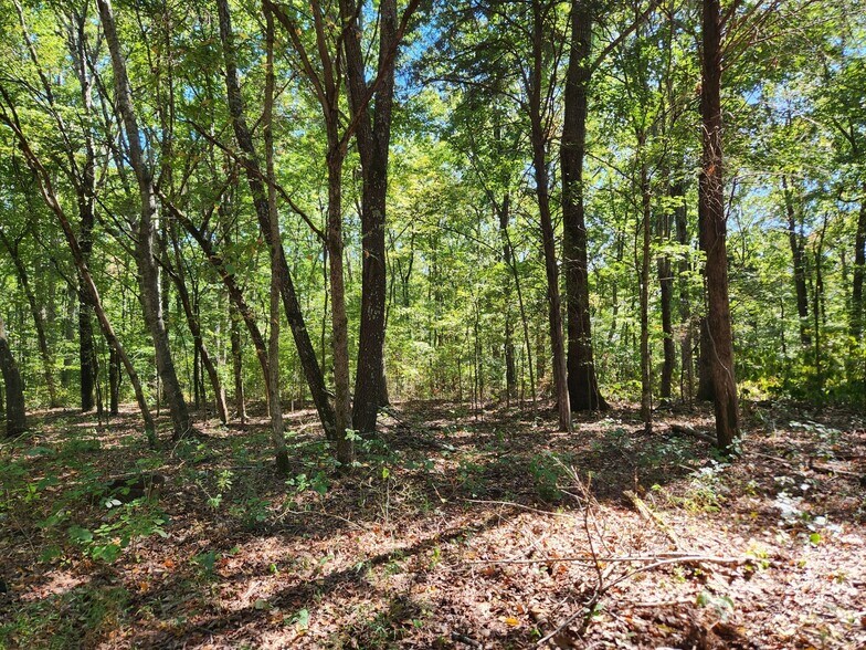 More Photos Of 138 Vaughn Rd, Charlotte Land For Sale