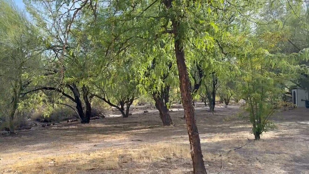 Primary Photo Of 160 +/- Acres Juanita Springs Ranch, Bunkerville Land For Sale