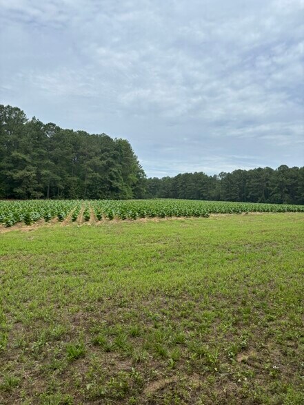 More Photos Of 2723 Mays Crossroad Crossroads, Youngsville Land For Sale