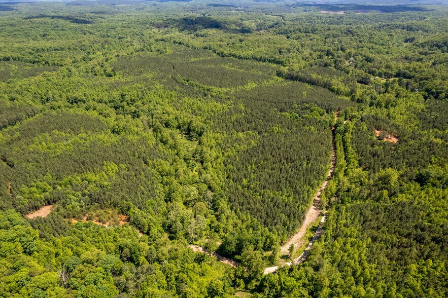 More Photos Of tbd Green Creek Rd, Schuyler Land For Sale