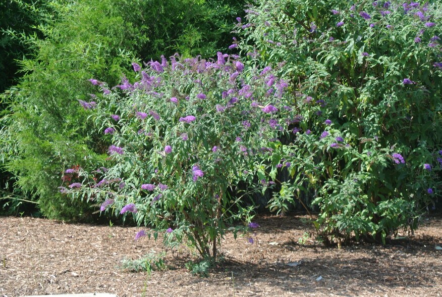 More Photos Of 6326 Five Mile Centre Park, Fredericksburg Medical For Lease