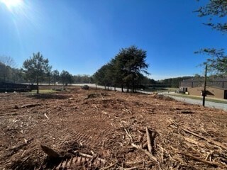 More Photos Of 285 Temple Ave, Newnan Land For Sale