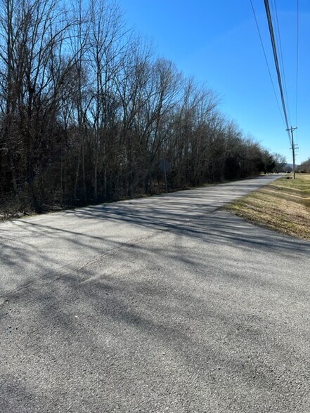 More Photos Of 4492 Old Salem Rd, Rockvale Land For Sale