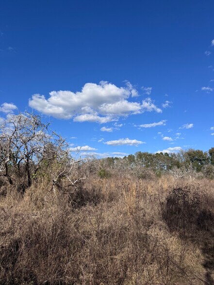 More Photos Of 16982 SE Highway 42, Weirsdale Land For Sale