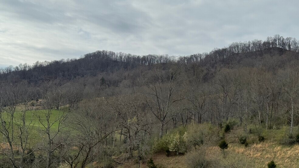 More Photos Of Lucrative Business Property, Jonesville Land For Sale