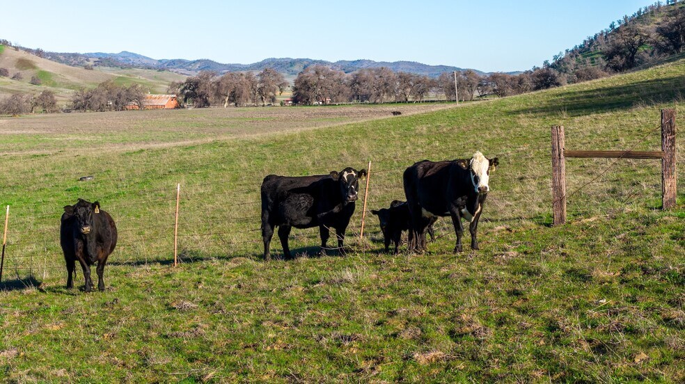 More Photos Of 3546 Huffmaster rd, Stonyford Land For Sale