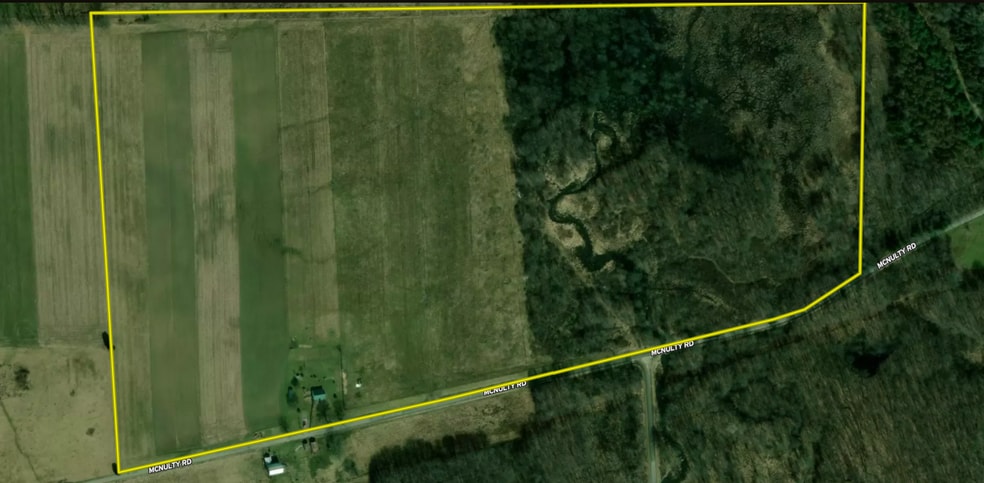 Primary Photo Of 795 McNulty Rd, Volant Land For Sale