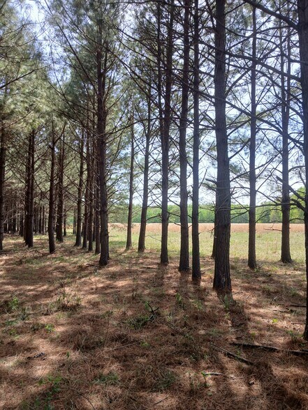 More Photos Of 414000 E 1920 Rd, Antlers Land For Sale