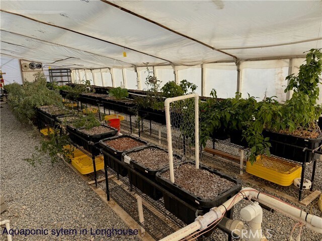 More Photos Of 691 Desert Trail Way, Tecopa Winery Vineyard For Sale