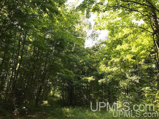 More Photos Of TBD Rock River Rd, Deerton Land For Sale