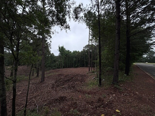More Photos Of 0 Peachview Blvd, Gaffney Land For Sale