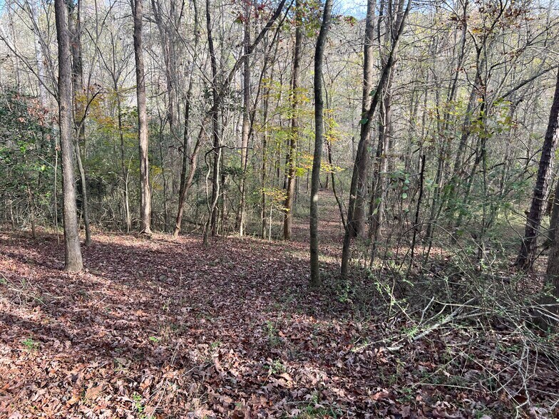 More Photos Of 0 Dickson Dr, Danielsville Land For Sale