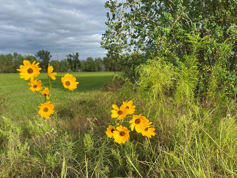 More Photos Of 28144-28150 Morton Rd, Katy Land For Sale