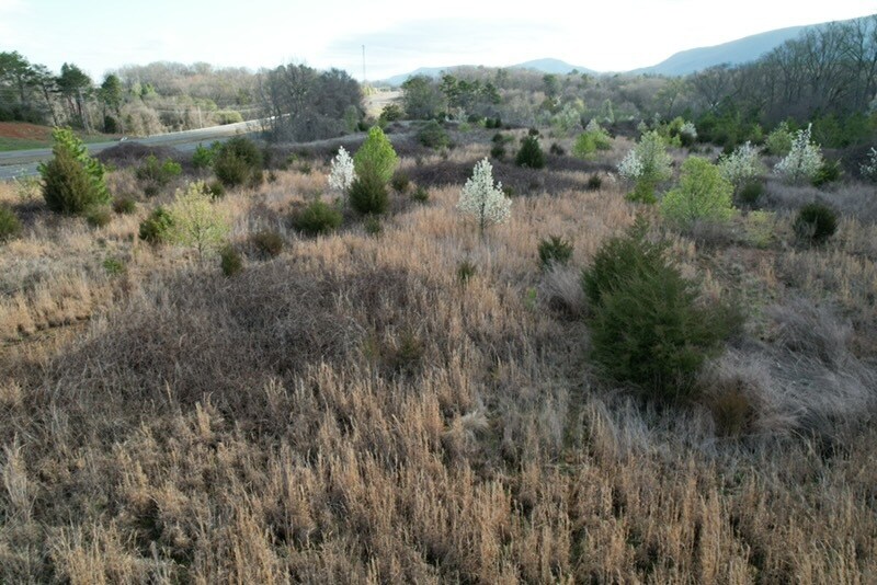 More Photos Of 7326 U.S. 411, Benton Land For Sale