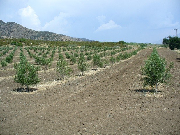 More Photos Of 0 San Felipe Rd, Warner Springs Land For Sale