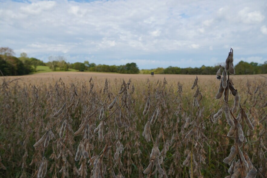 More Photos Of 22413 Highway C, Lawson Specialty For Sale