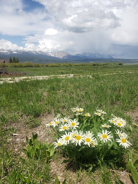 More Photos Of TBD Fisher Creek Loop, Stanley Land For Sale
