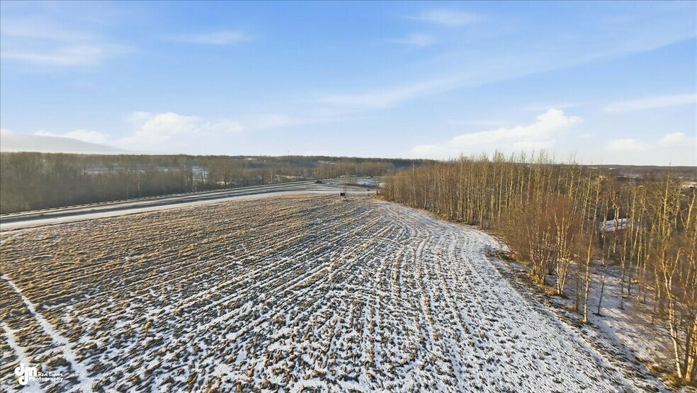 More Photos Of 4203 Meridian loop, Wasilla Land For Sale