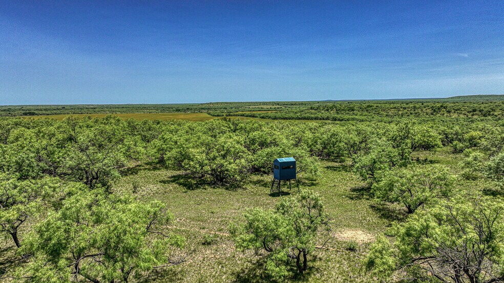 More Photos Of 723 FM 2926, Baird Land For Sale