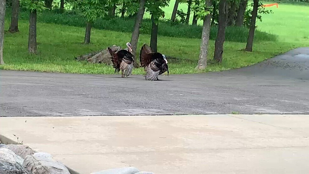 More Photos Of 33345 W. 95th St, De Soto Land For Sale