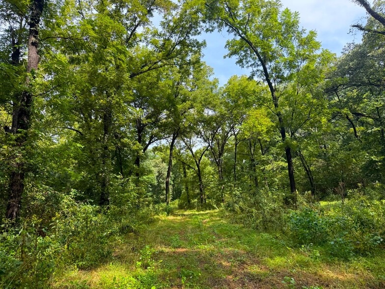 More Photos Of 17660 Golden Rd, Linwood Land For Sale
