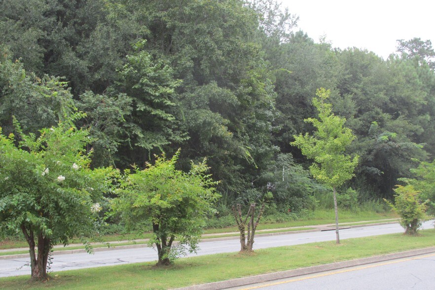 More Photos Of 2400 Henry Clower Blvd, Snellville Land For Sale