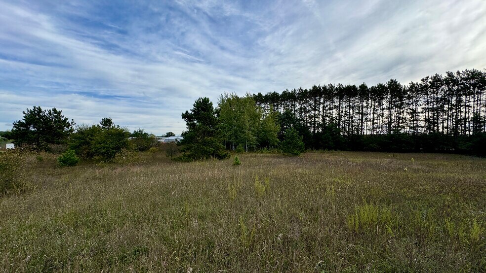More Photos Of 1662 N Mitchell St, Cadillac Land For Sale
