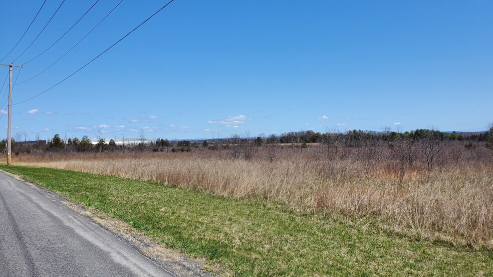 More Photos Of Lot 29 Lot 29 Old Plank Rd. Rd, Coxsackie Land For Sale