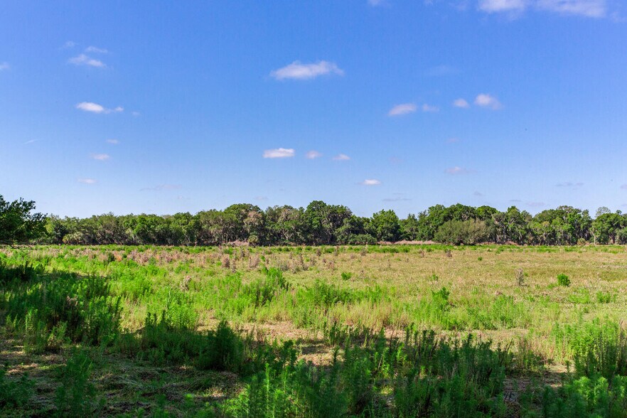 More Photos Of 419 Jameson Rd, Lithia Land For Sale