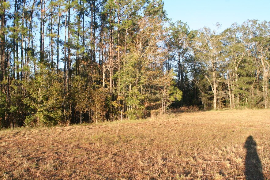 More Photos Of 542640 US Highway 1, Callahan Land For Sale