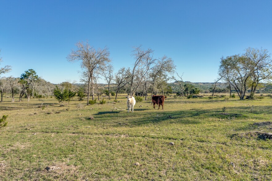 More Photos Of 636 FM 289, Comfort Land For Sale