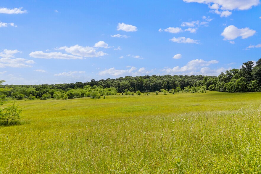 More Photos Of 3648 Dominion Rd, Gerrardstown Land For Sale