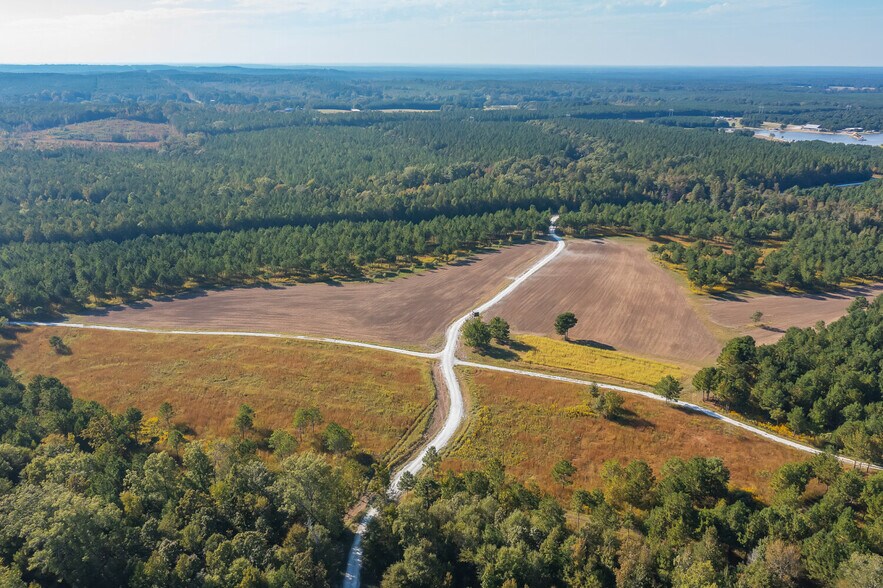More Photos Of 18618 Hwy 43, Linden Land For Sale