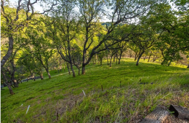 More Photos Of 8725 Quail Canyon Rd, Vacaville Land For Sale