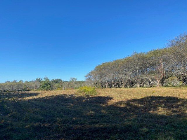 More Photos Of 989 NY-32, Wallkill Land For Sale