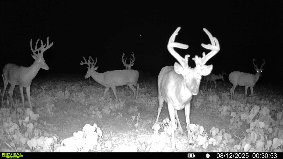 More Photos Of Highway D (77.2+/- Acres) Tract 1, Eolia Land For Sale