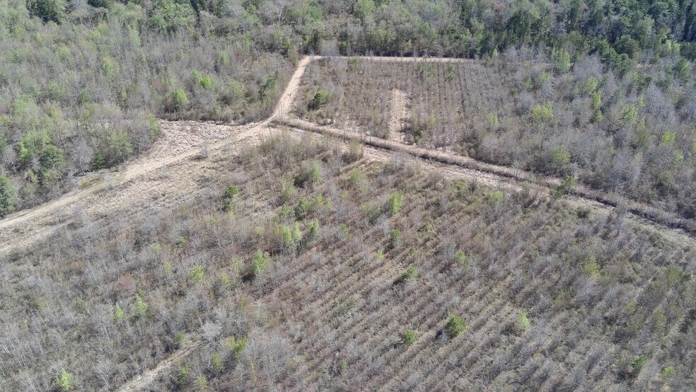 More Photos Of Sheeppenhill Road, Pemberton Land For Sale