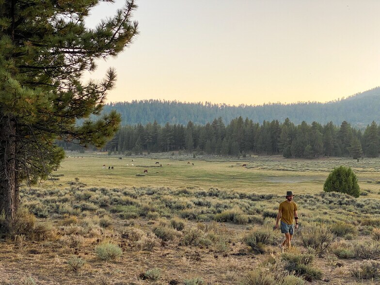More Photos Of 34300 Holcomb Valley Rd, Fawnskin Land For Sale