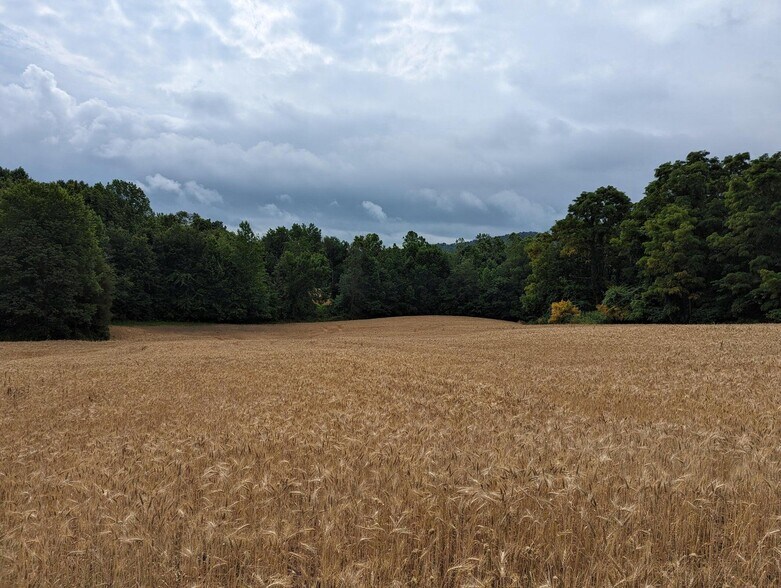 More Photos Of 732 KY Highway 558, Albany Land For Sale