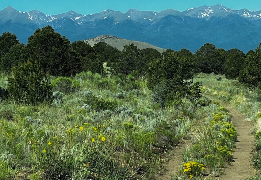 More Photos Of 525 Brush Hollow Rd, Westcliffe Land For Sale