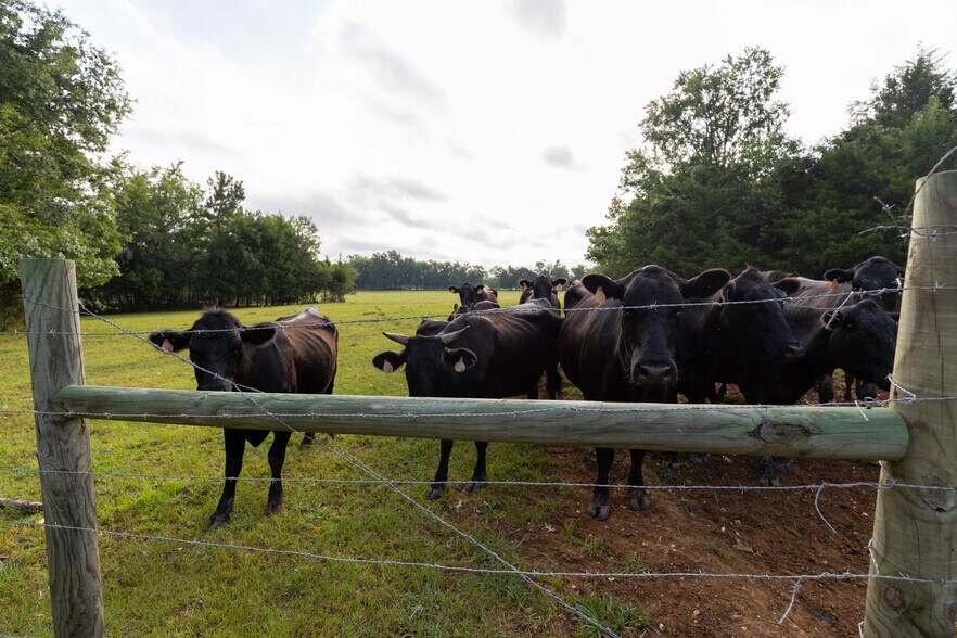 More Photos Of 9712 US Highway 31, Hope Hull Land For Sale