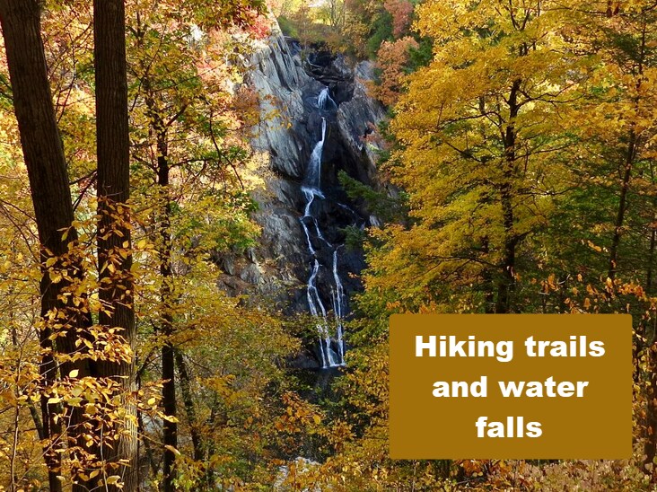 More Photos Of Gale Hill Road Rd, East Chatham Land For Sale