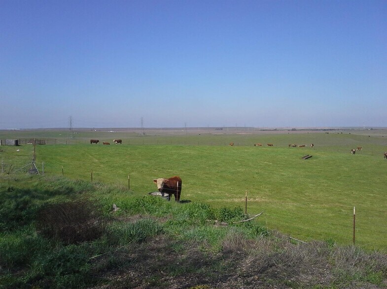 More Photos Of 29939 Highway 4, Farmington Land For Sale