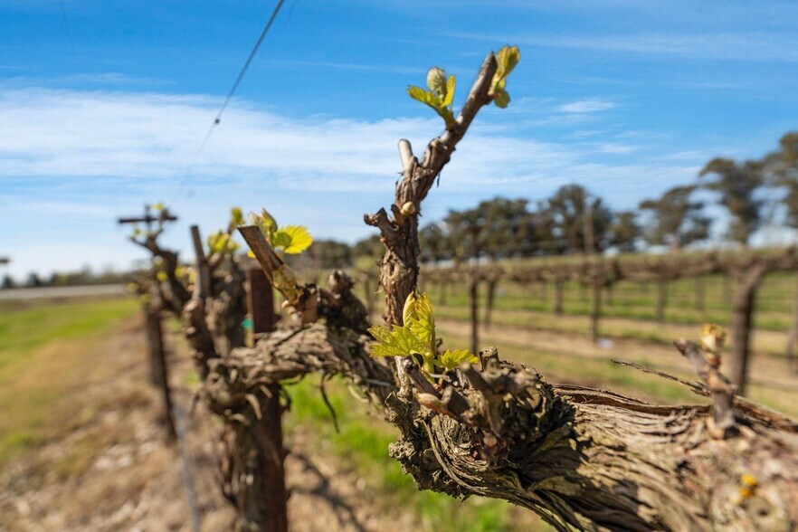 More Photos Of 16550 CA-160, Isleton Land For Sale