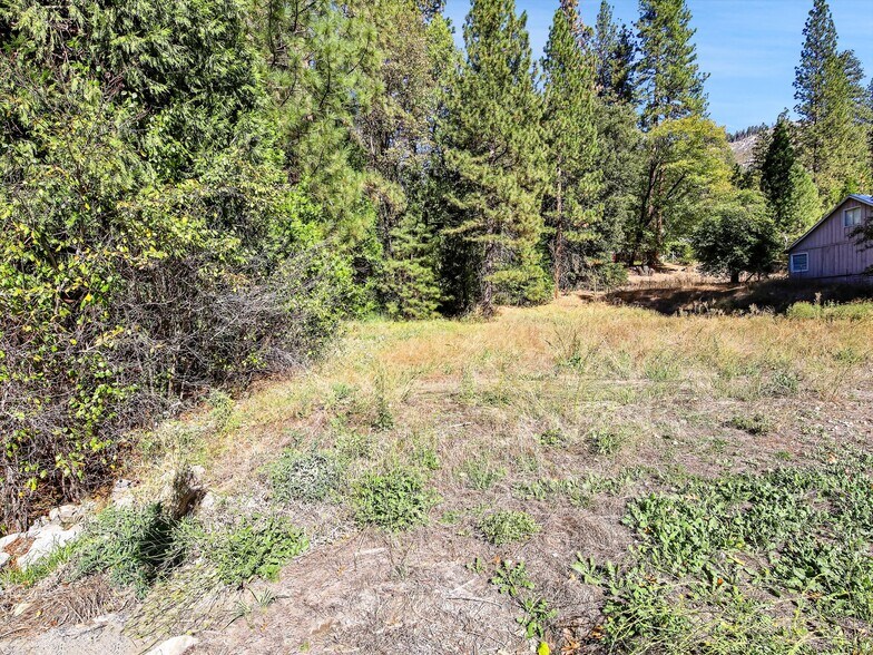 More Photos Of 13651 US Hwy 50, Kyburz Land For Sale