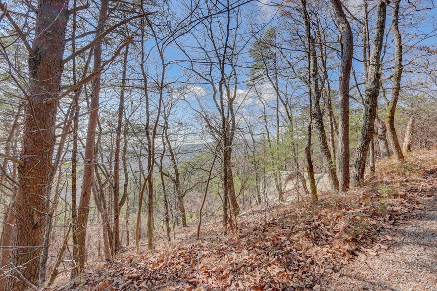 More Photos Of 1915 Tower Trl, Waleska Land For Sale