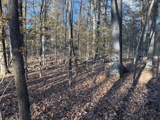 More Photos Of HWY 301, Horn Lake Land For Sale