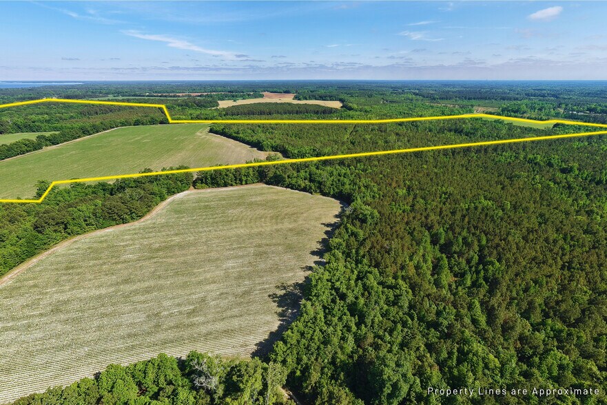 More Photos Of 0 155.9 ac Westberry Dr, Vance Land For Sale